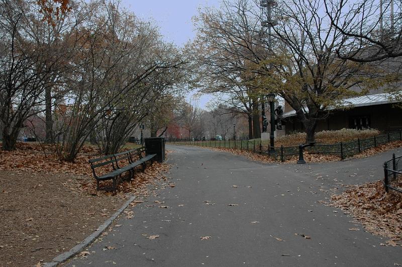 5. looking east our bench is nearest by Zanna.jpg - ACD Systems Digital Imaging